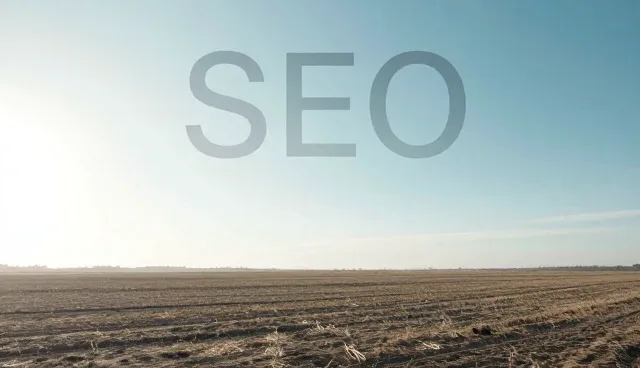SEO优化选择依据：适用场景与限制解析